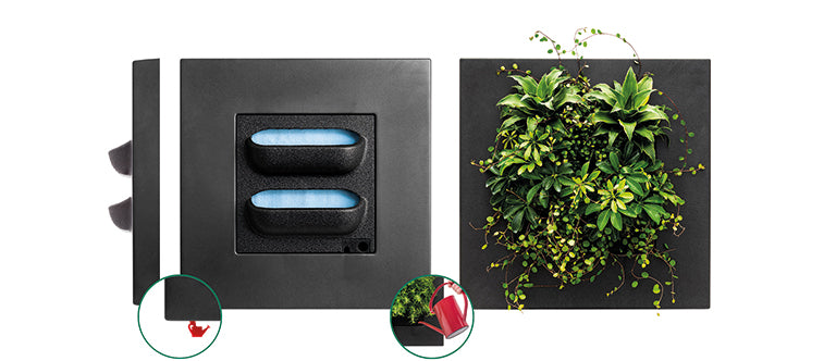 Bamboo Living Wall Picture Frame - Black