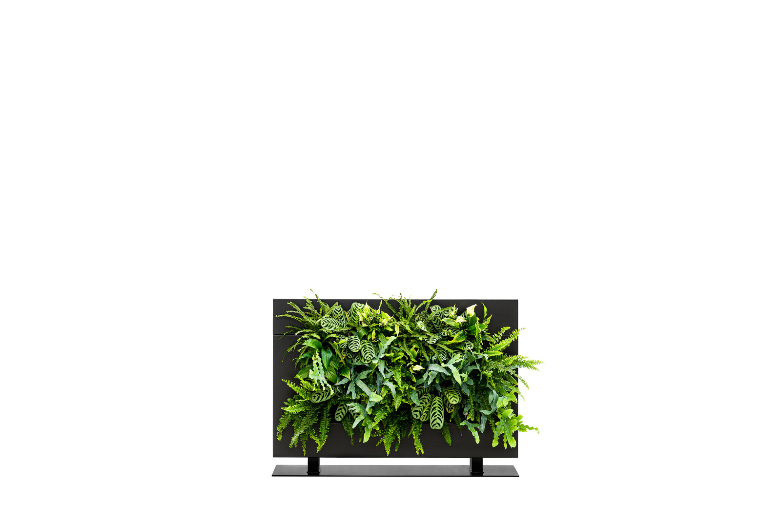 Living Wall Divider - 81cm - Black