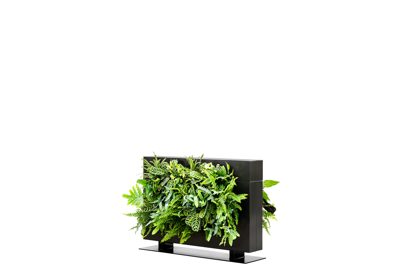 Living Wall Divider - 81cm - Black