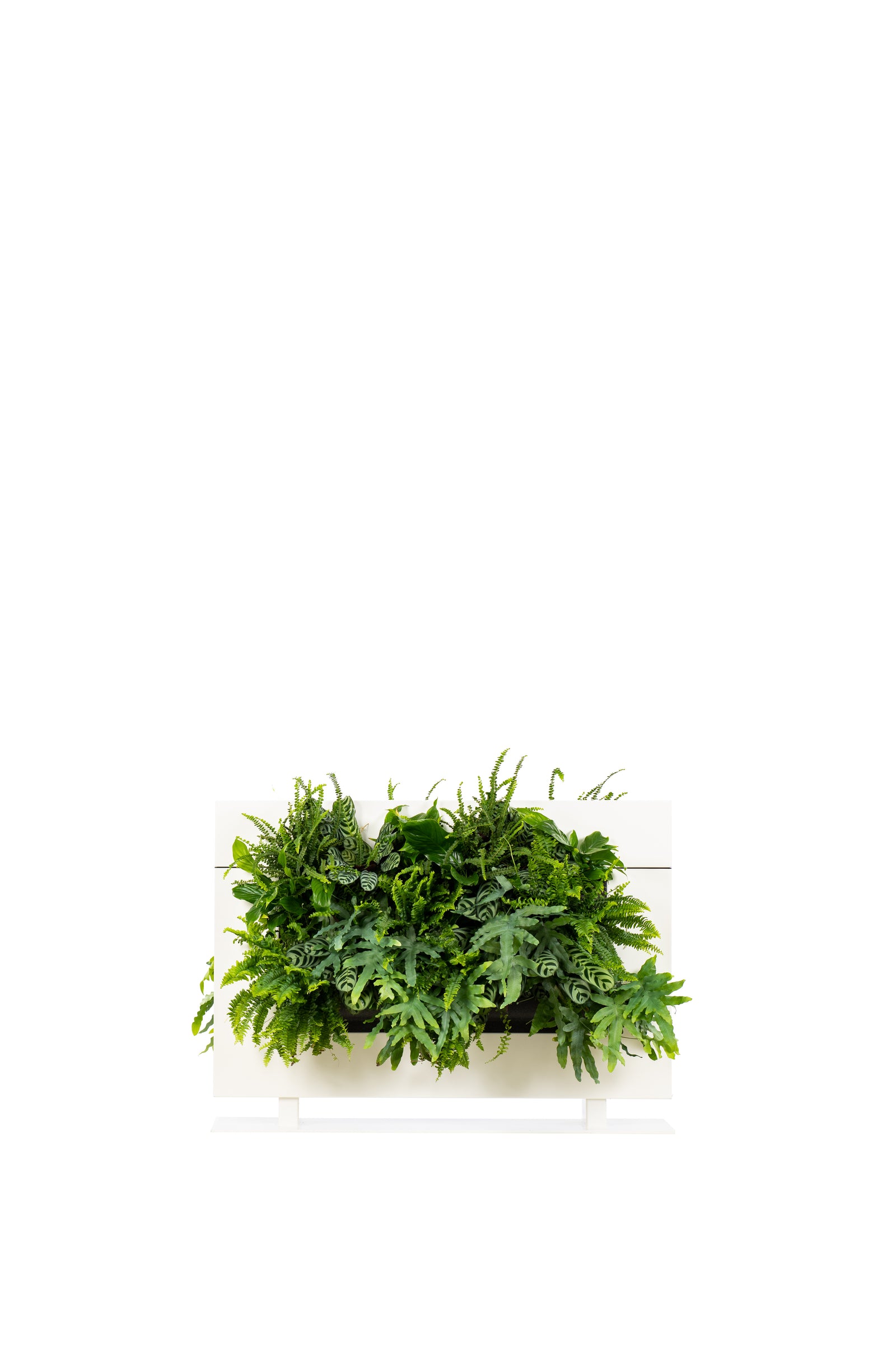 Living Wall Divider - 81cm - White