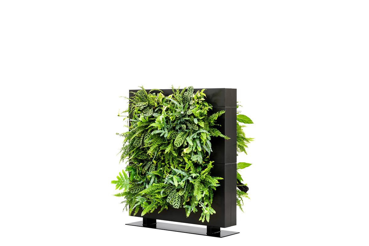 Living Wall Divider - 131cm - Black