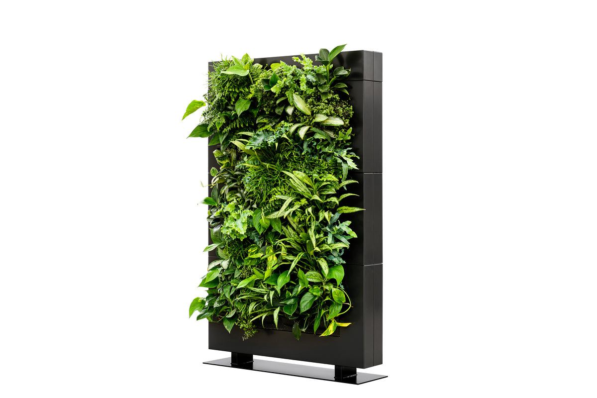 Living Wall Divider - 180.5cm - Black