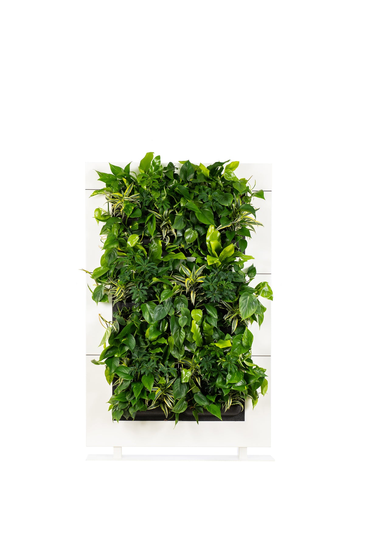 Living Wall Divider - 180.5cm - White