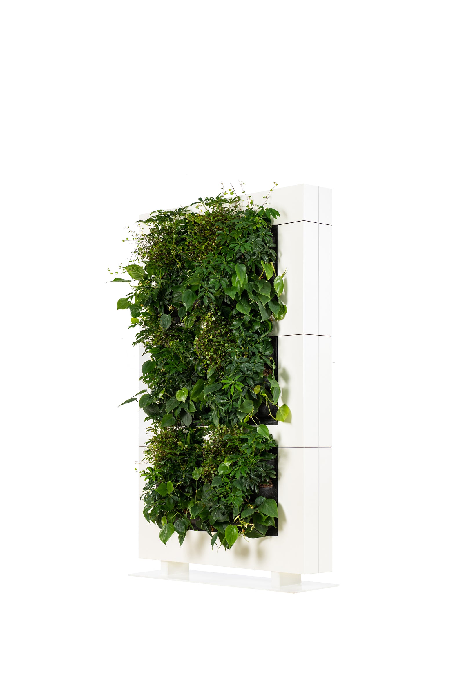 Living Wall Divider - 180.5cm - White
