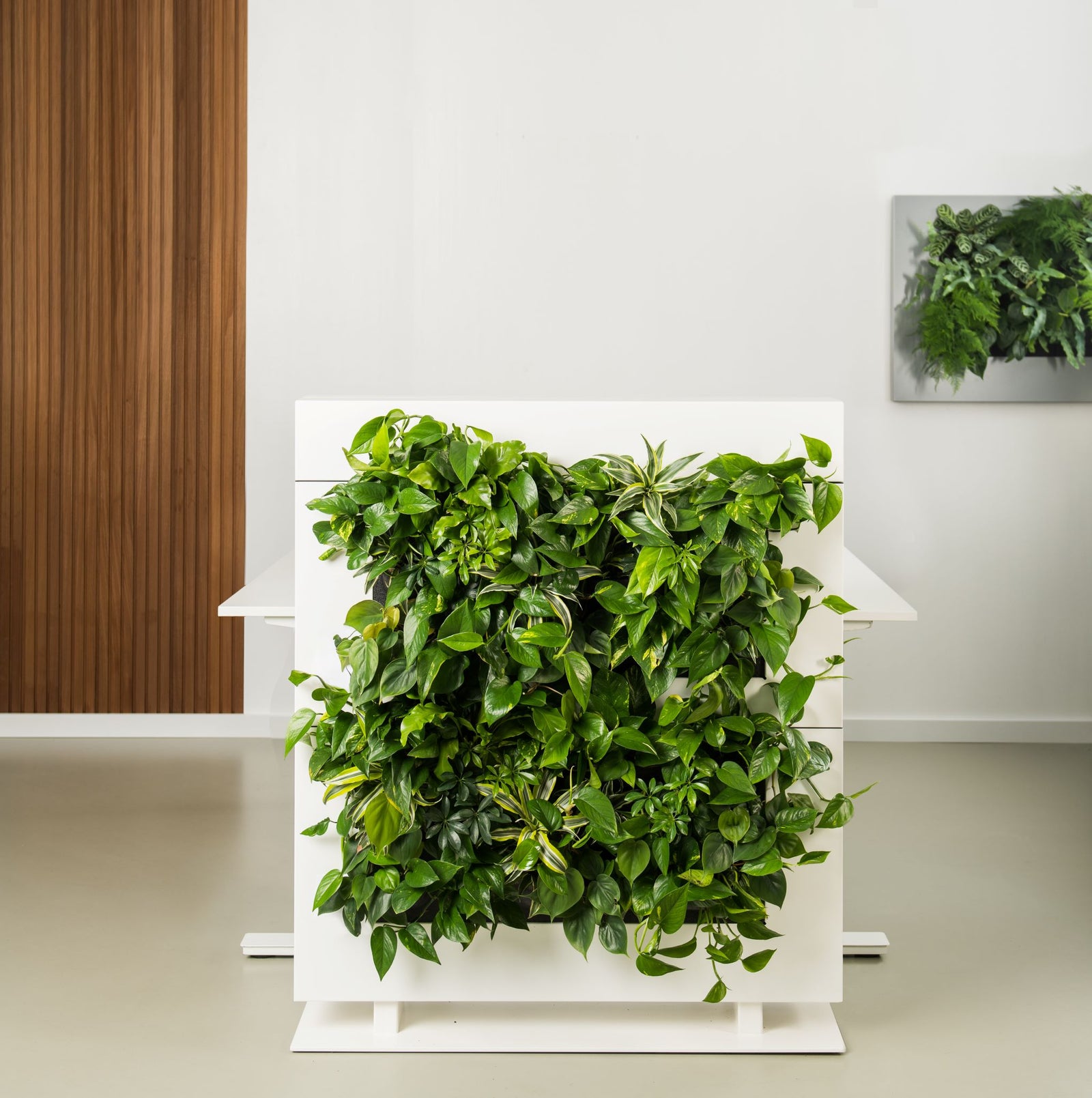 Living Wall Divider - 180.5cm - White
