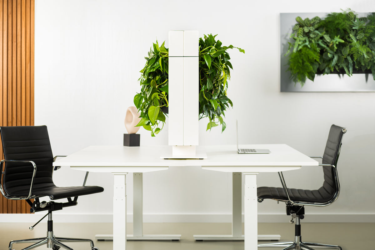 Living Wall Divider - 131cm - White