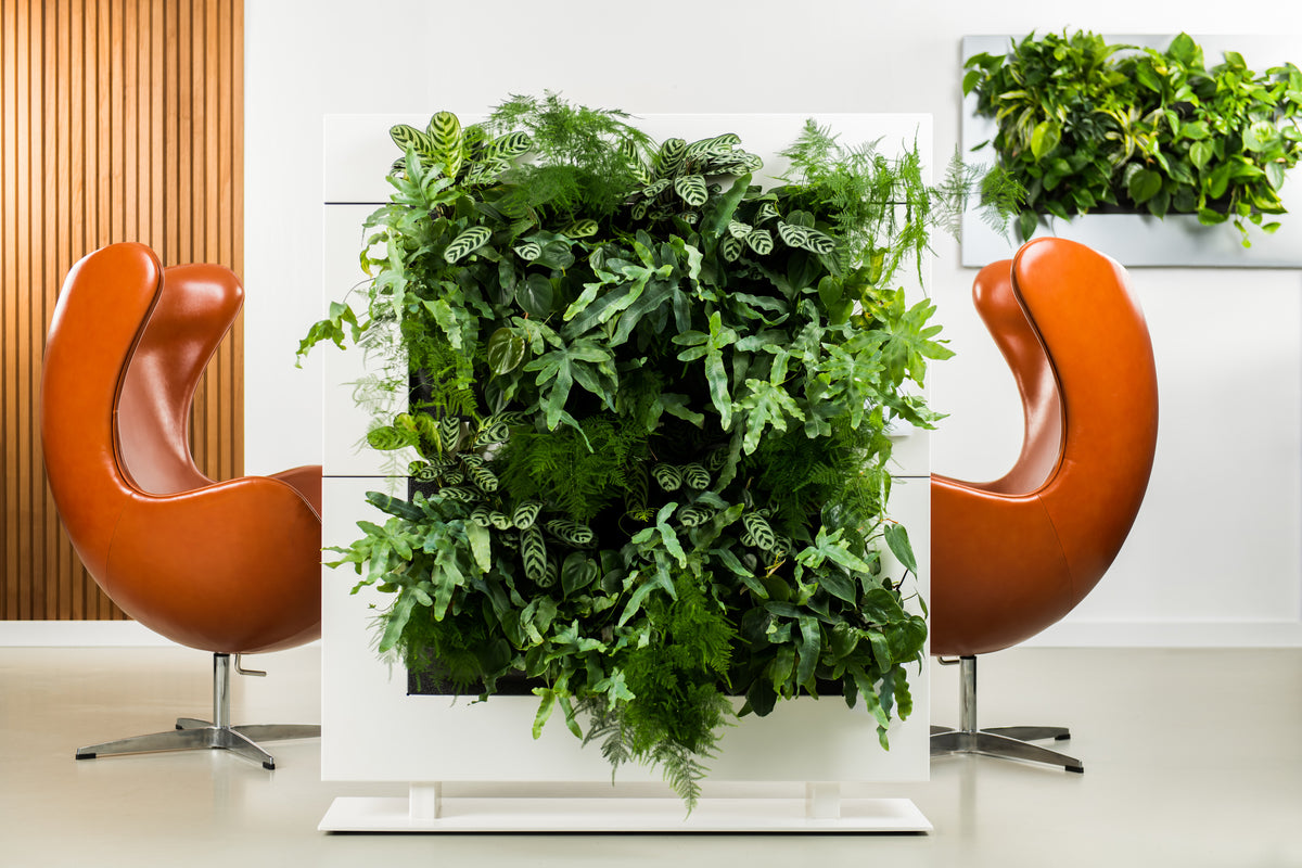 Living Wall Divider - 81cm - White