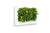 LIVE PICTURE - Living wall frame - 152cm - White