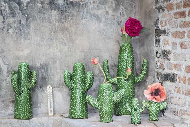 Cactus Small