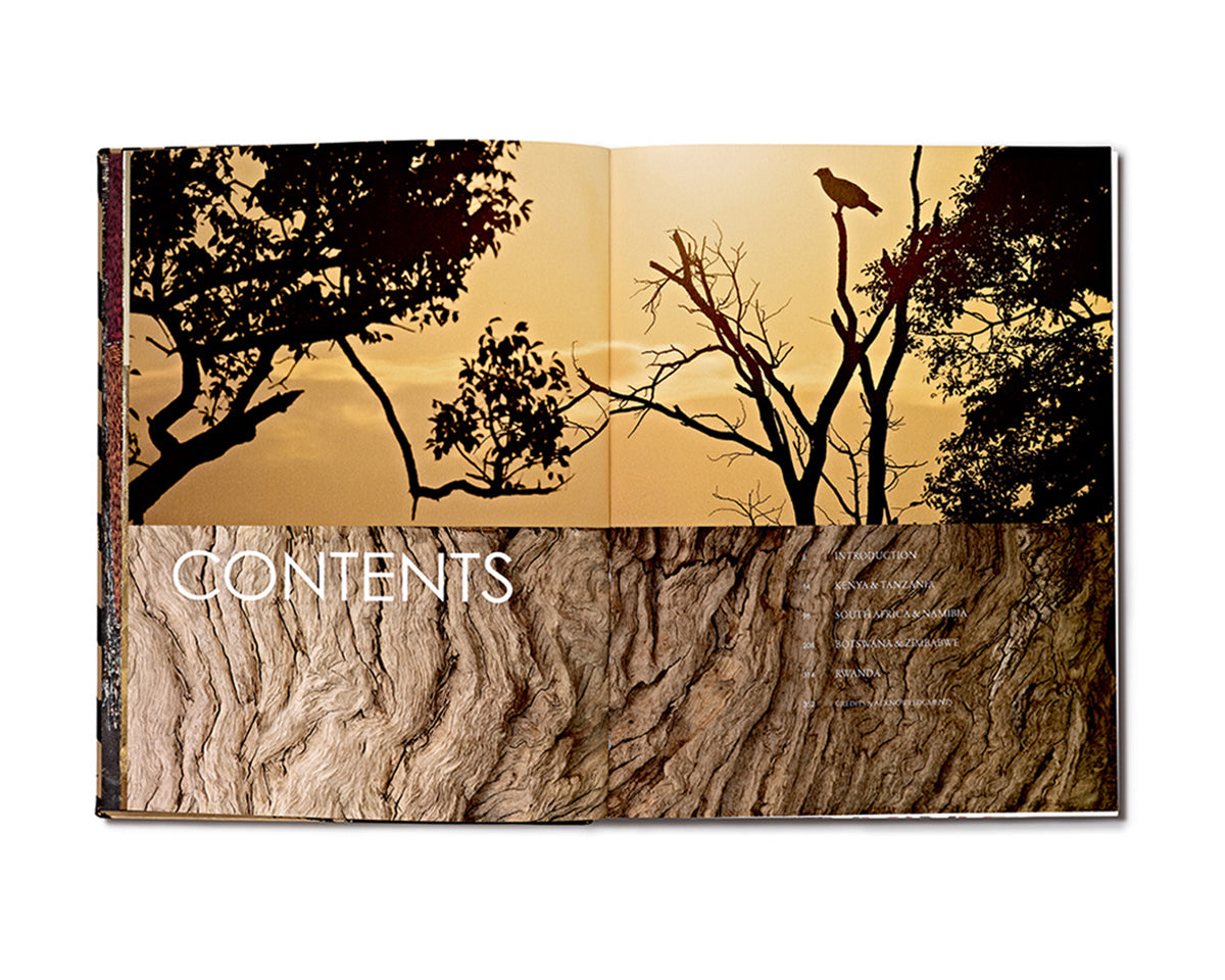 Safari Style - Exceptional African Camps and Lodges