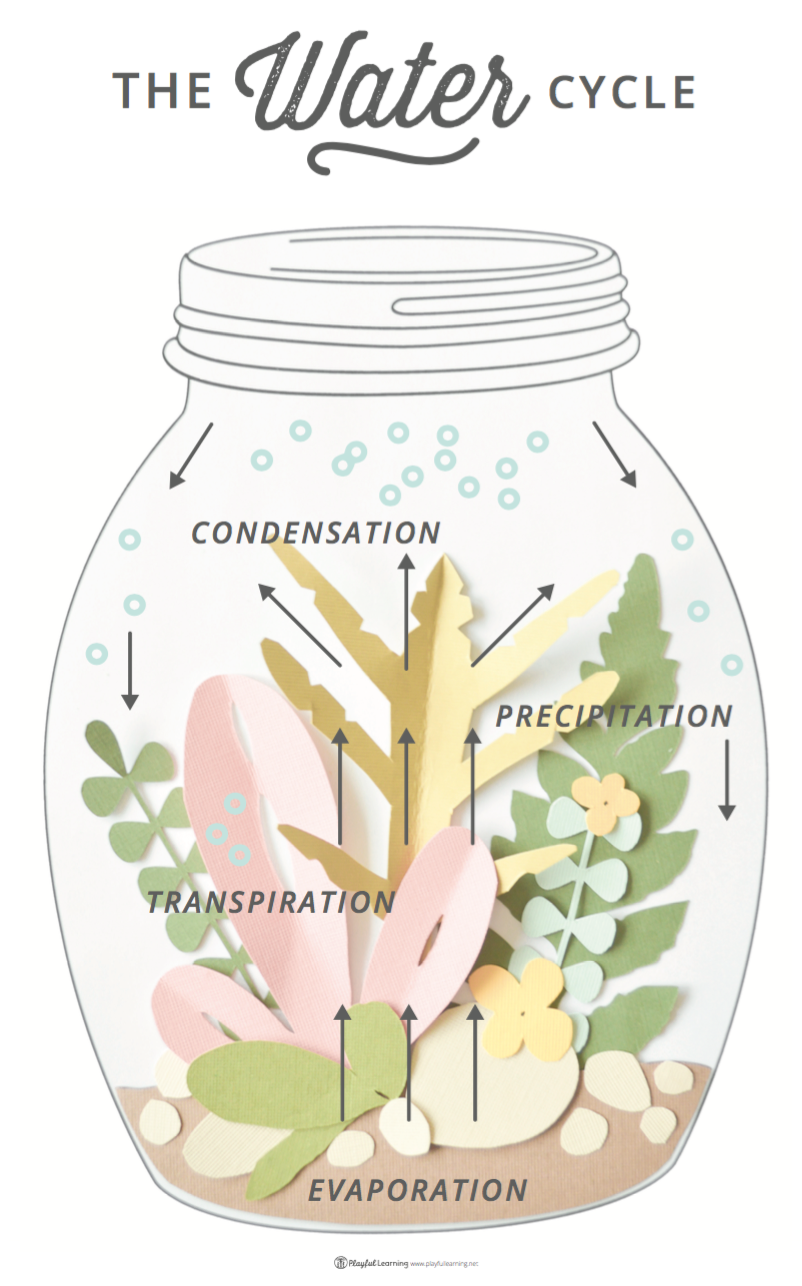 LAB Jar Terrarium Tropical