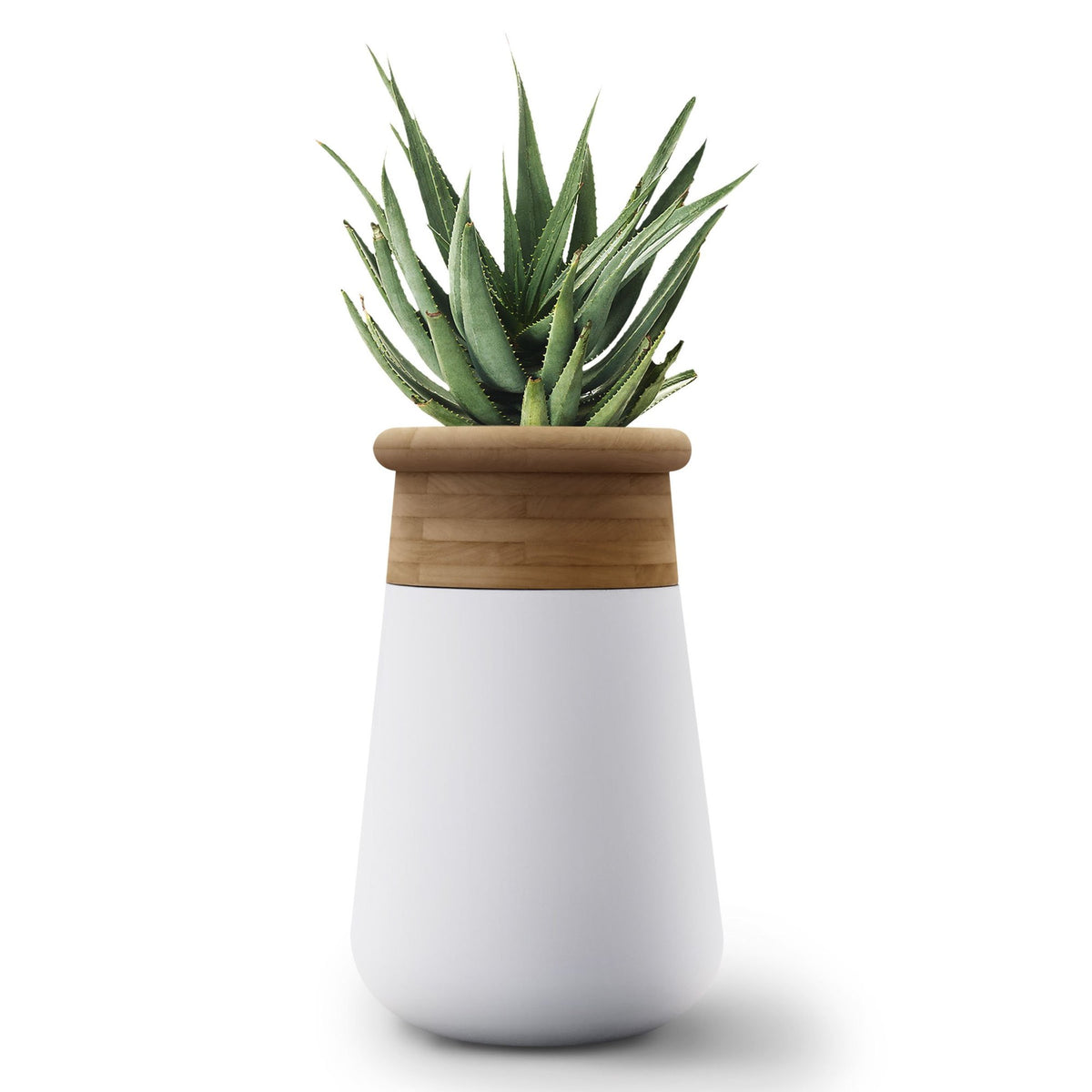 Soma Planter Wood