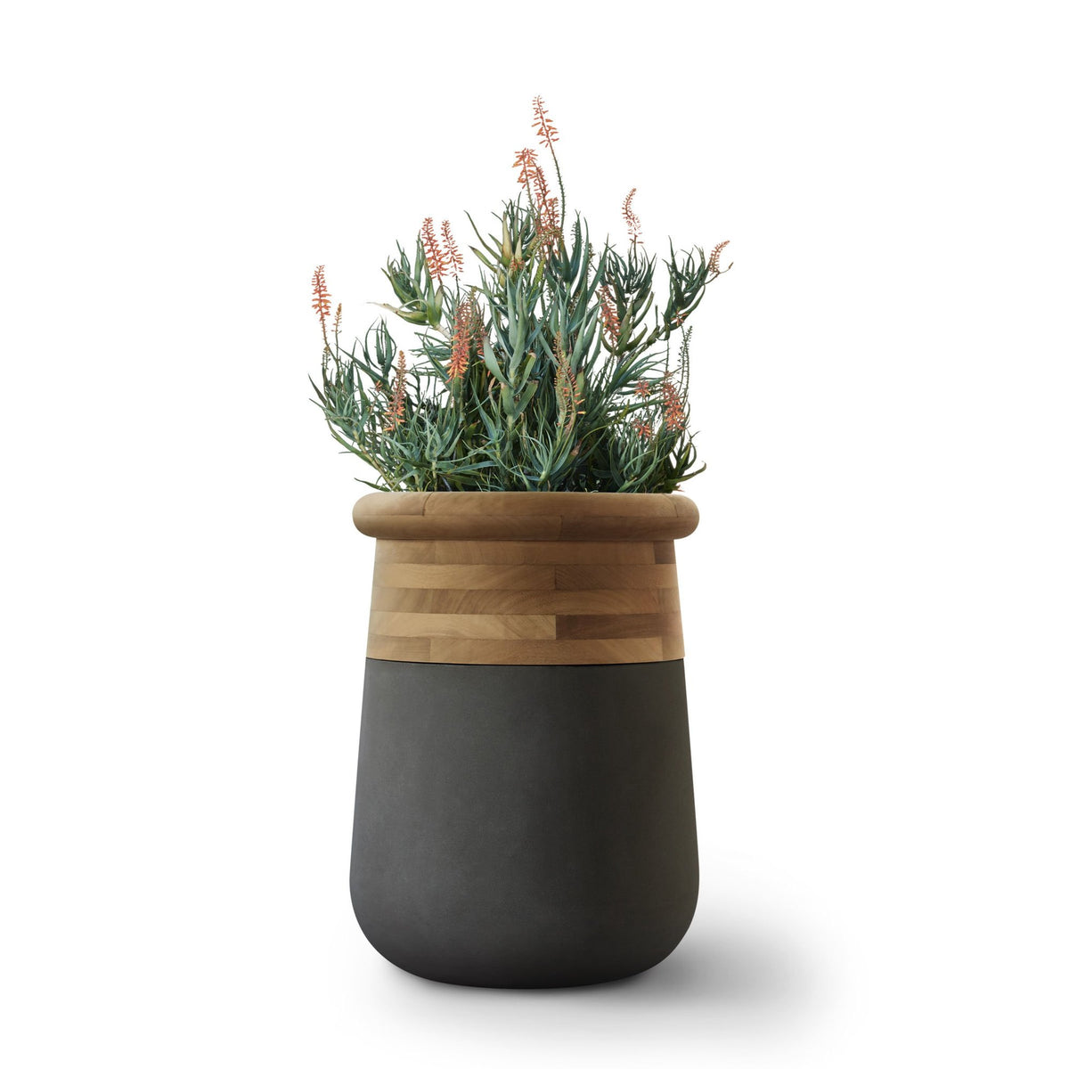 Soma Planter Wood