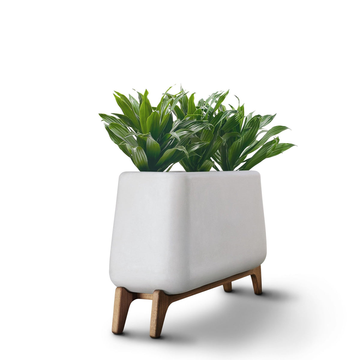 Terra Planter