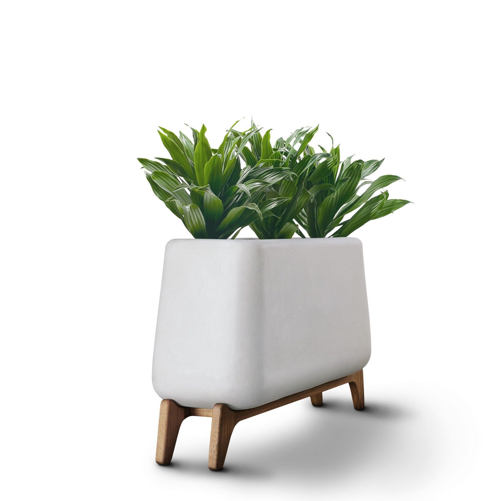Terra Planter