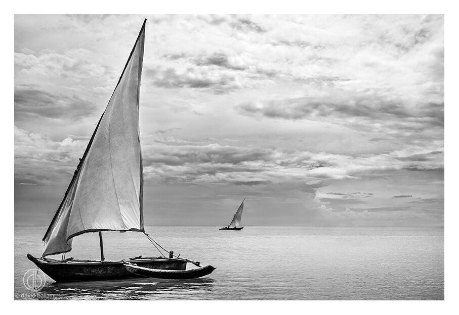 David Ballam - ZAN_44