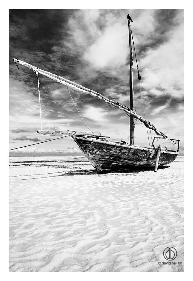 David Ballam - ZAN_63