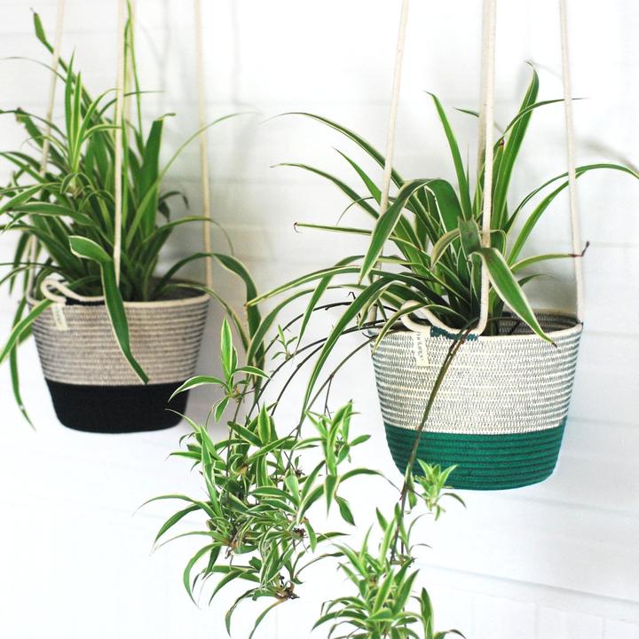Hanging Planter Greenery