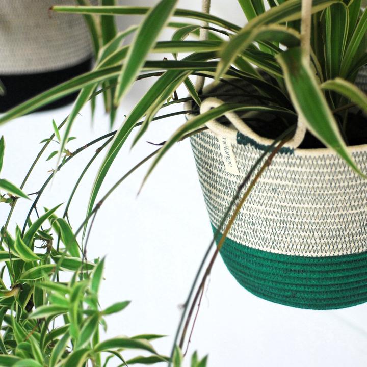 Hanging Planter Greenery