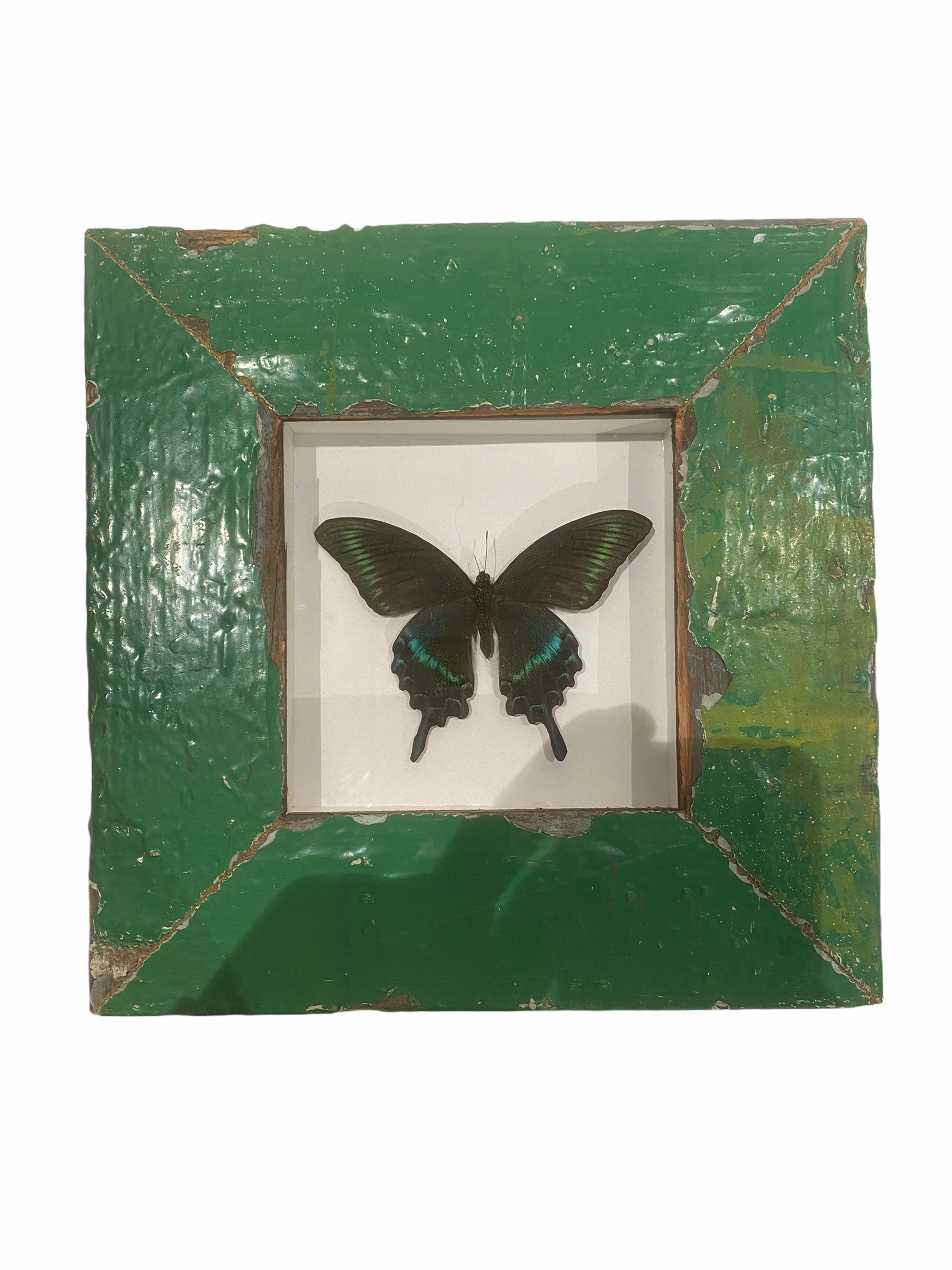 Butterfly in Green Frame
