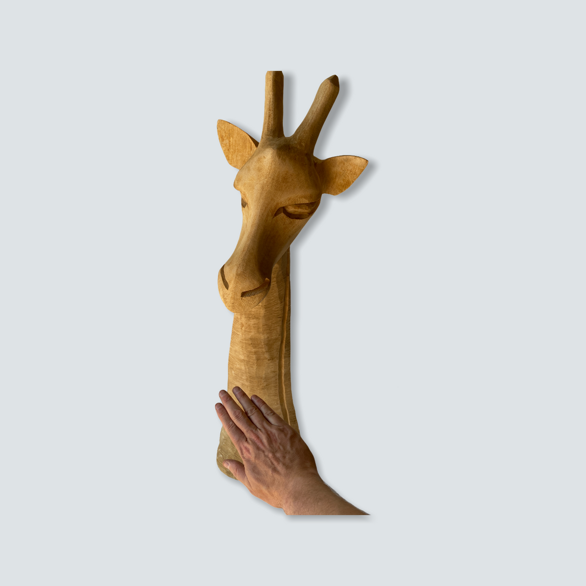 Swazi Giraffe-head sculptures - wood - L