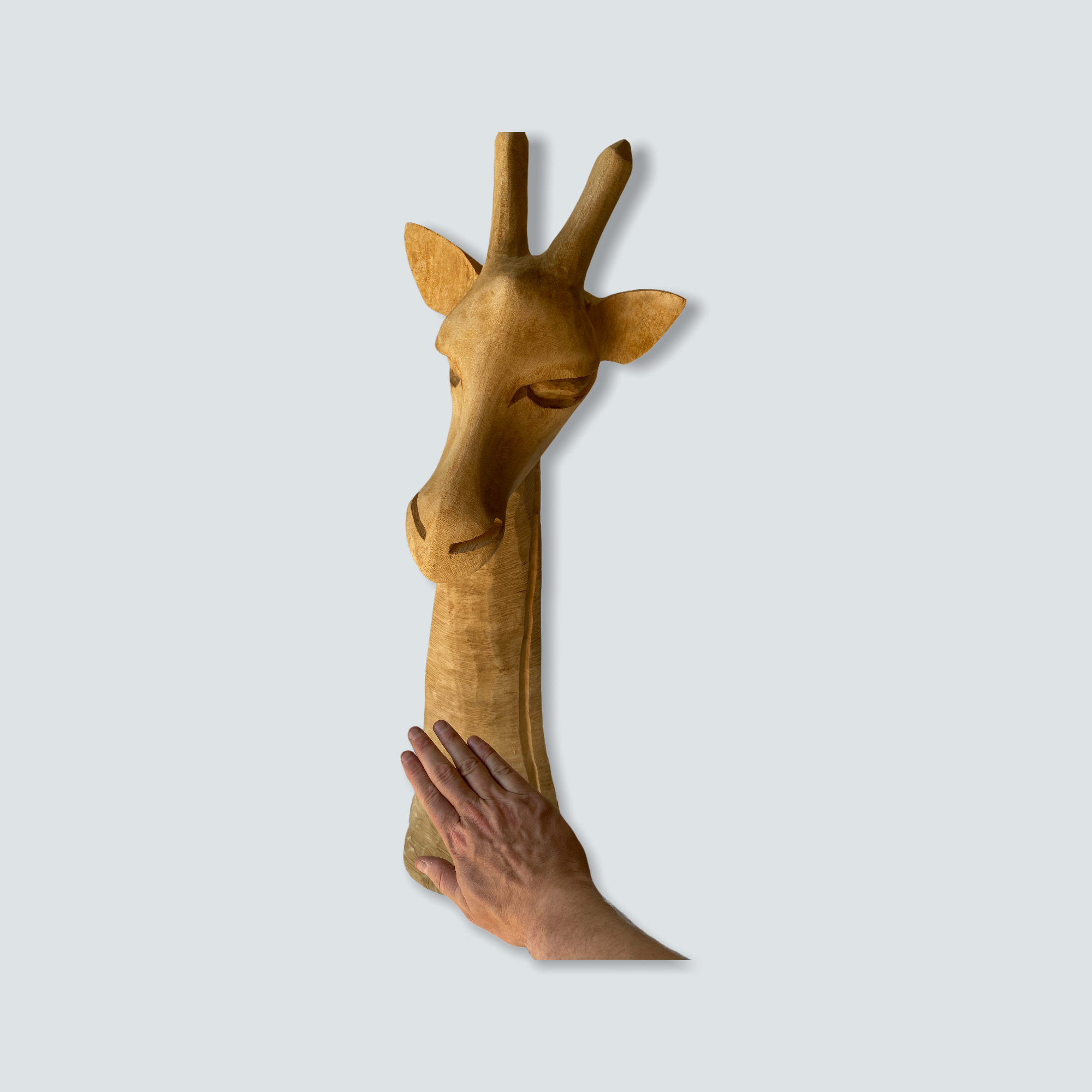 Swazi Giraffe-head sculptures - wood - L