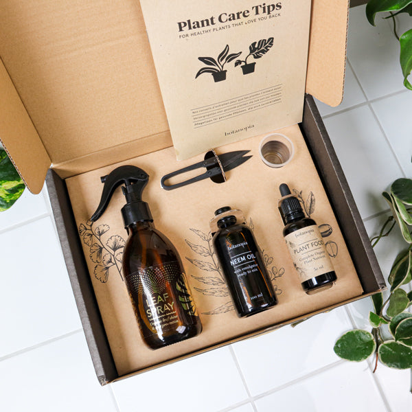 House Plant Care Kit - Botanical Boys