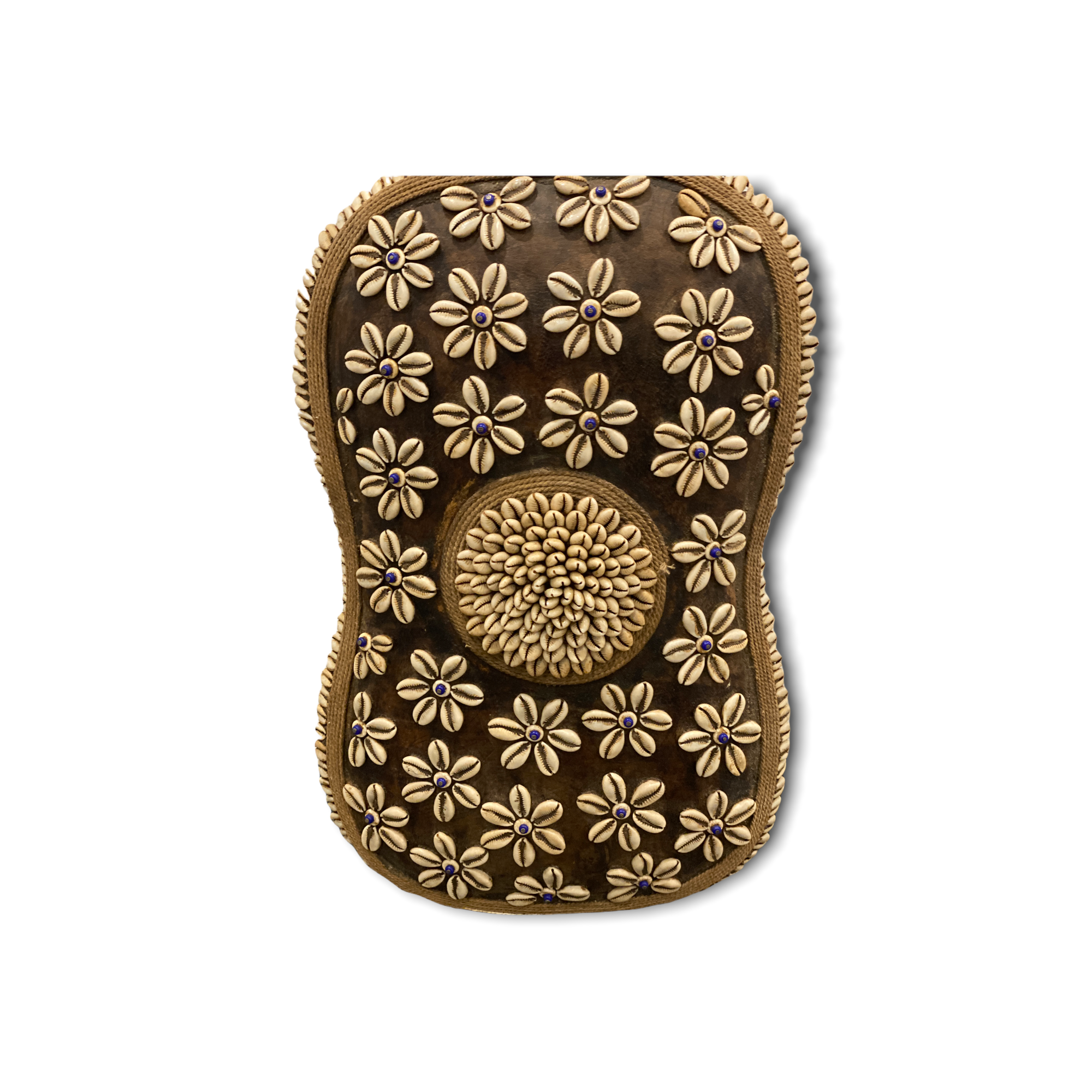 Cameroon Shield Cowrie shell Flower