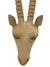 Swazi Hand carved Buck Head - (43) Large