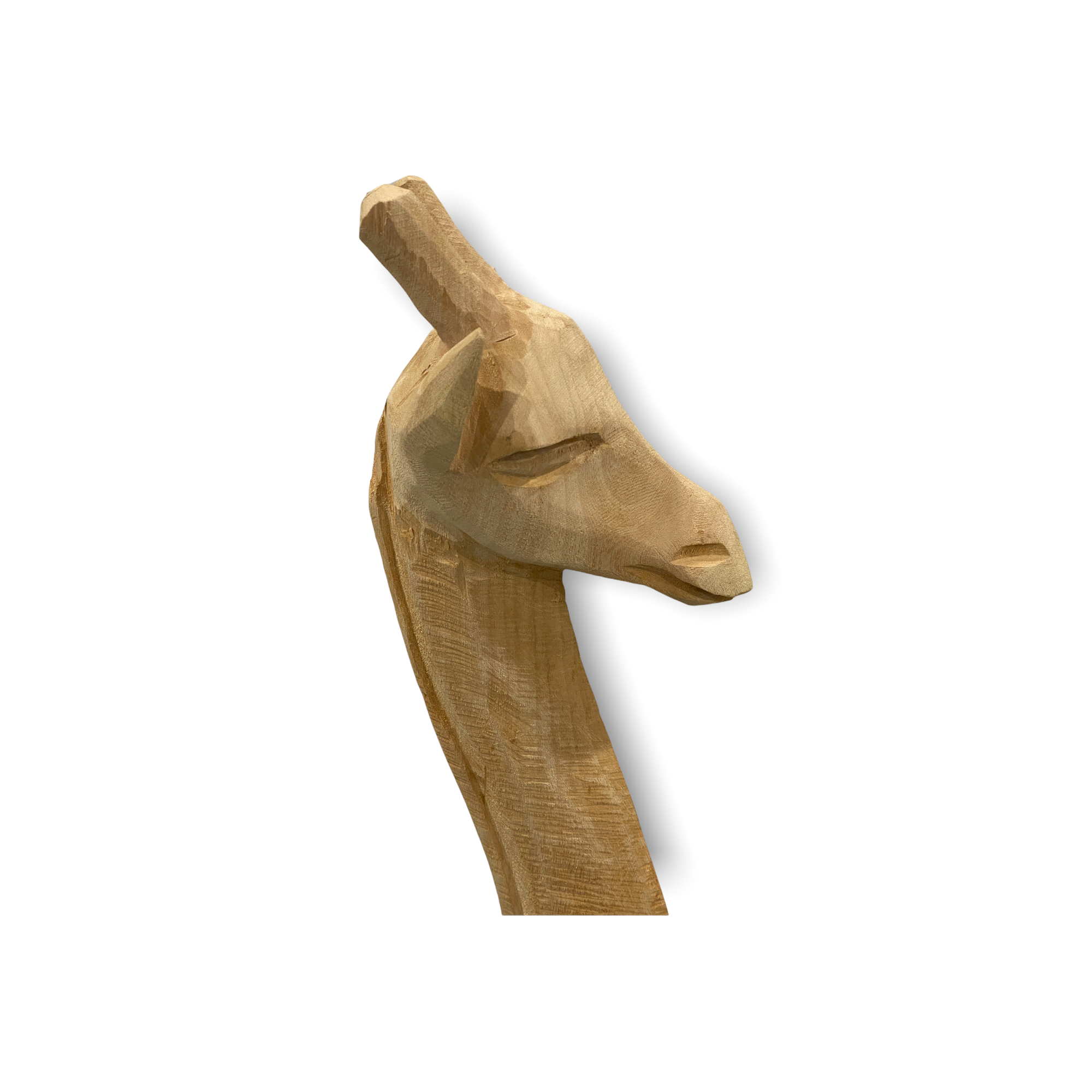 Swazi Giraffe - M