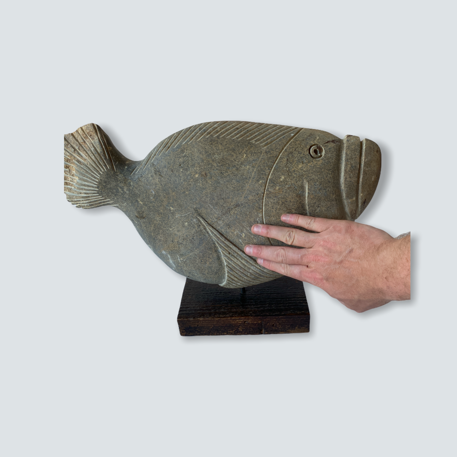 Stone Fish Sculpture - Zimbabwe (04) L
