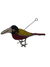 African Beaded Wire Garden Birds - Red (17.5)