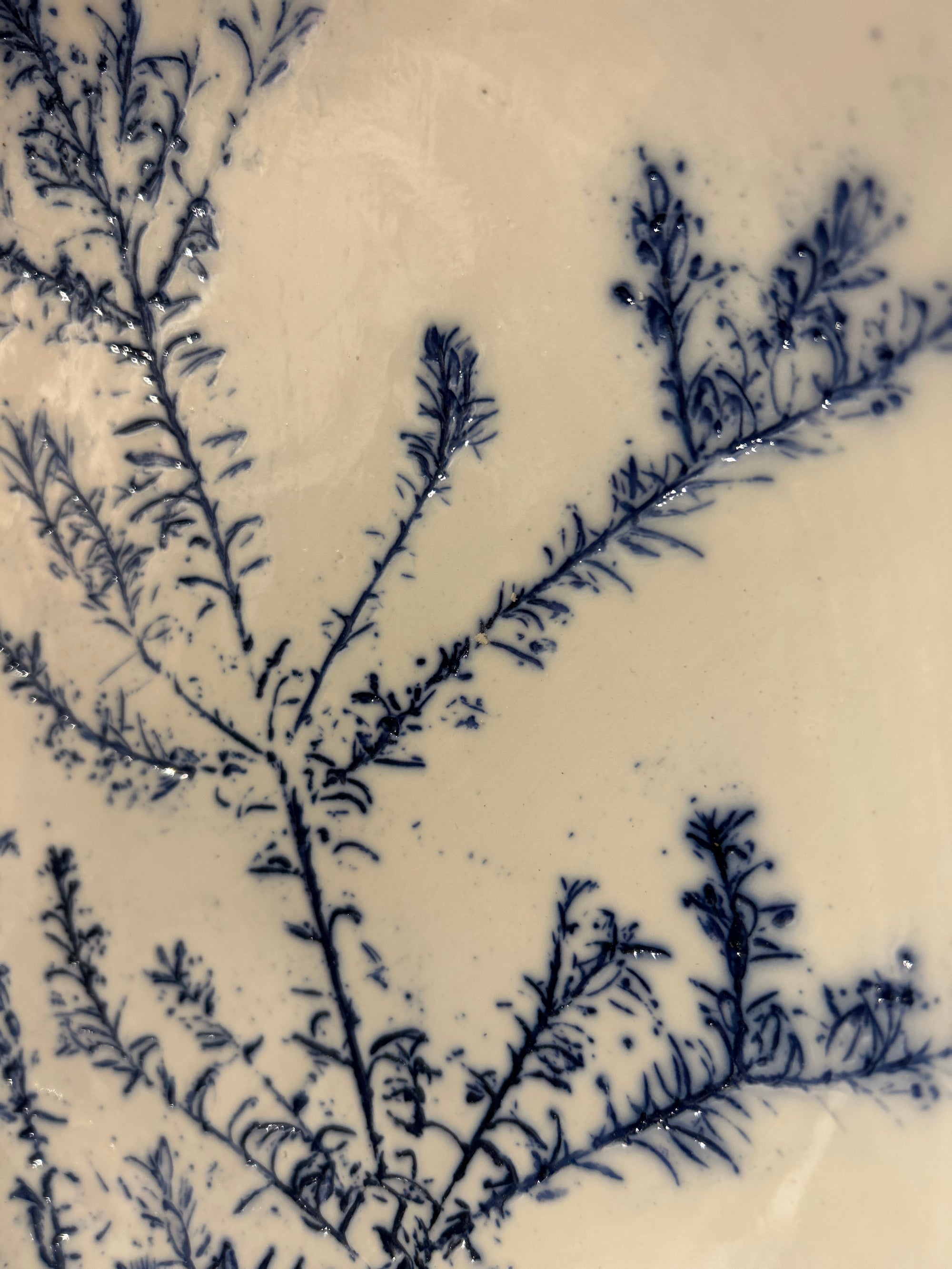 Cobalt Blue Fynbos Ceramic Plate