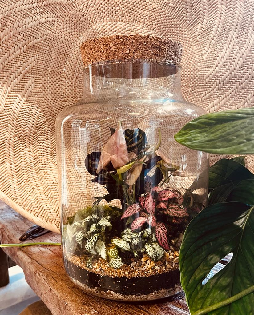 Masterclass Upgrade - Tall Cork Jar 30cm x 20cm