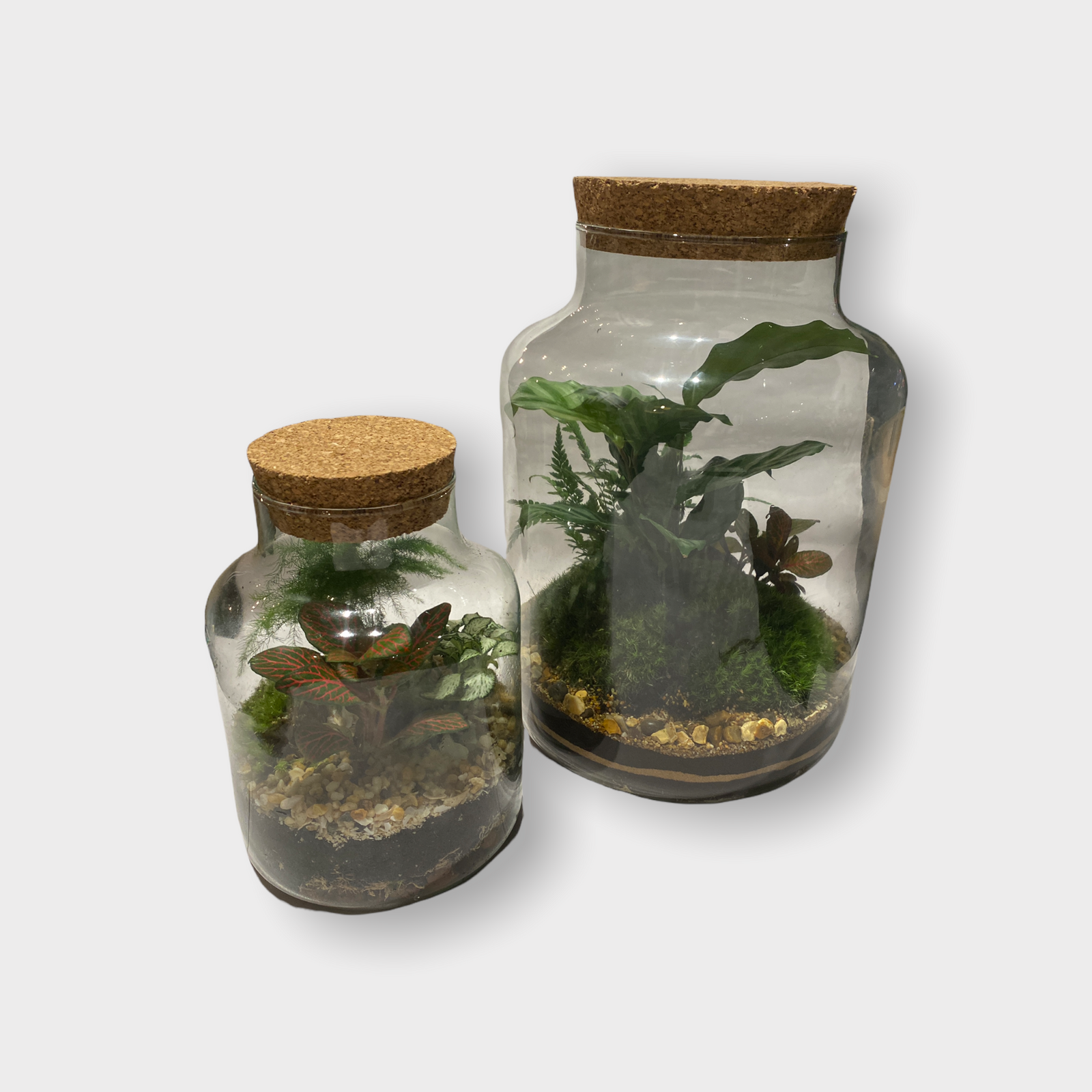 Terrarium Class - Upgrade - Tall cork jar (30cm)