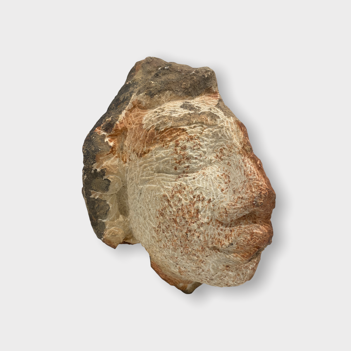 Stone head sculpture by Rizimu Chiwawa Zimbabwe (3115)