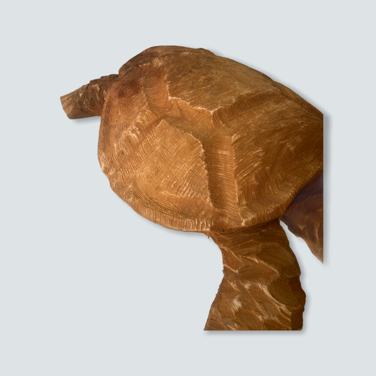 Mozambique hand carved Sea Turtle XL - (02)