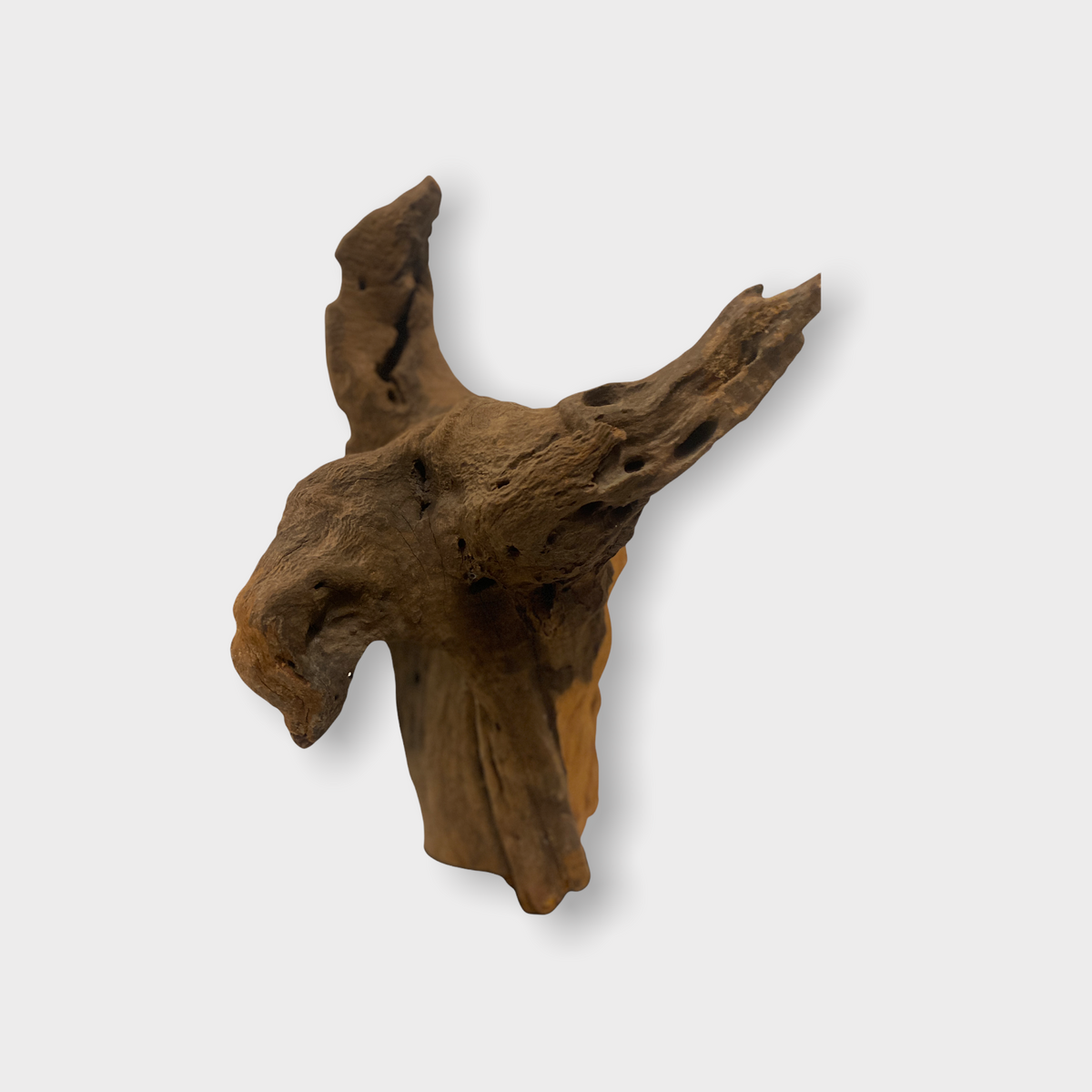 Hand Carved Head - Zimbabwe - large (152.2)