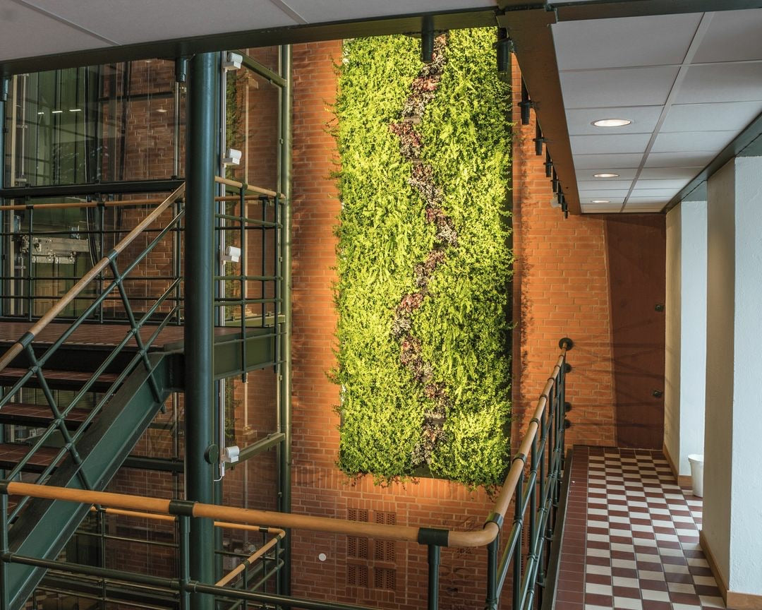 Frameless Living Wall System