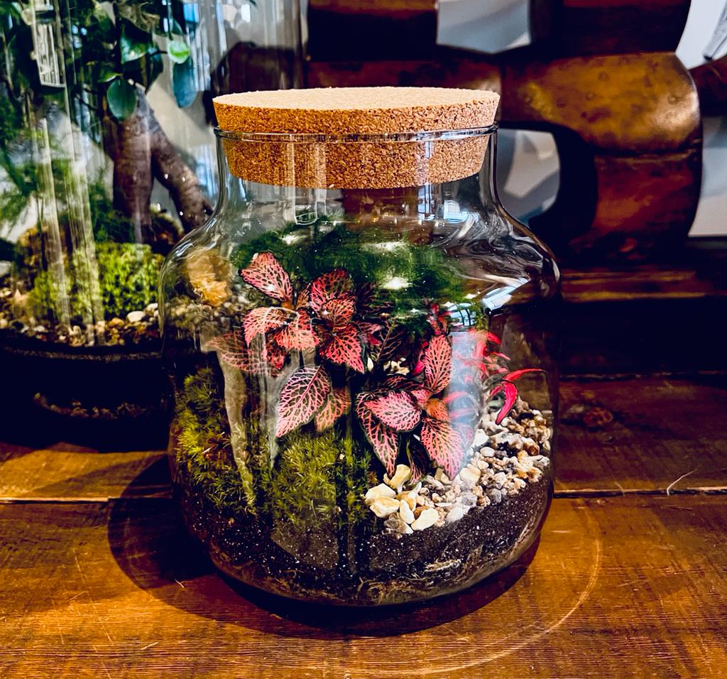 Terrarium Class - Upgrade masterclass cork jar