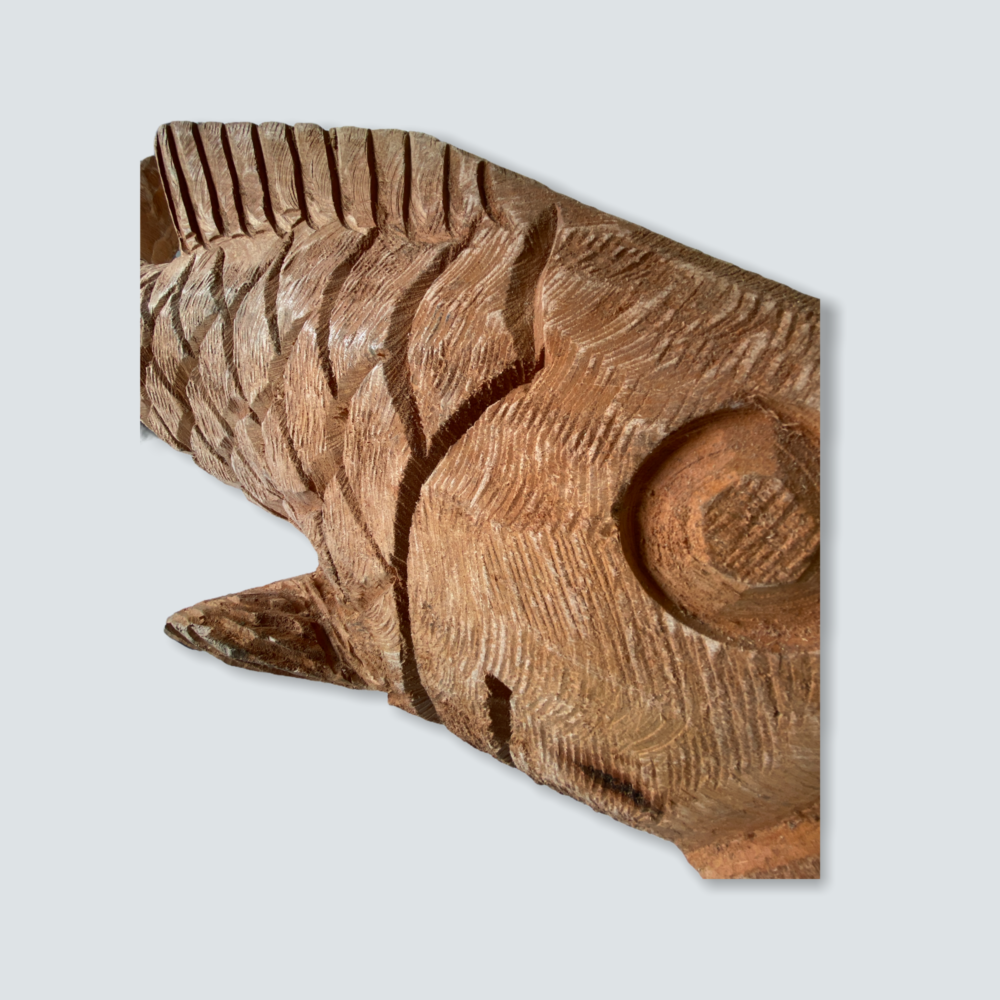 bulgarian wood carving boxes fish Mozambique hand carved Fish sculpture - L (02)