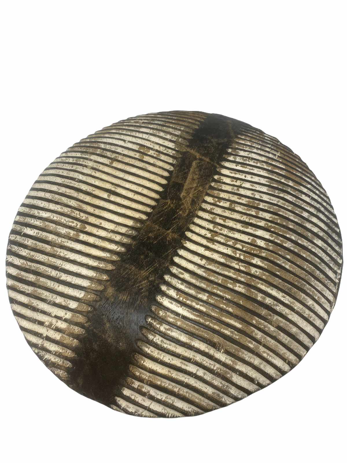 Cameroon Shield -L - 53cm