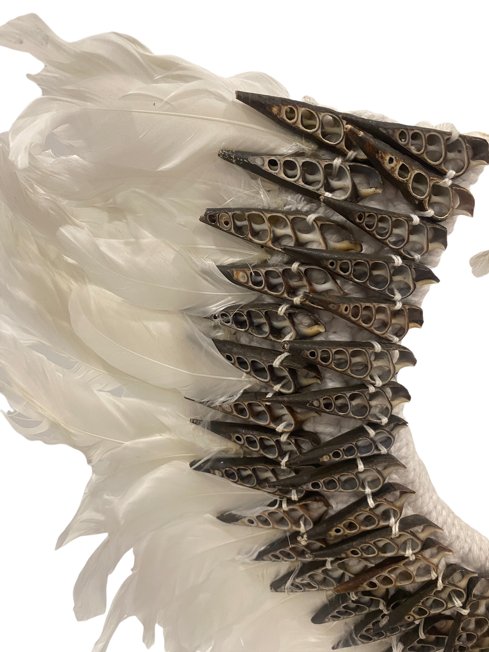 Feather & shell necklace (22.5) white