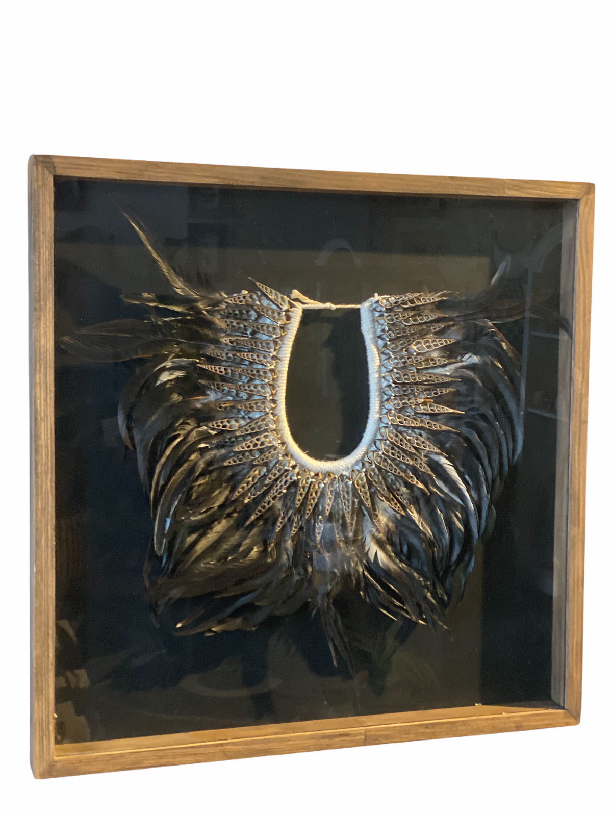 Handmade framed Feather &amp; Shell necklace