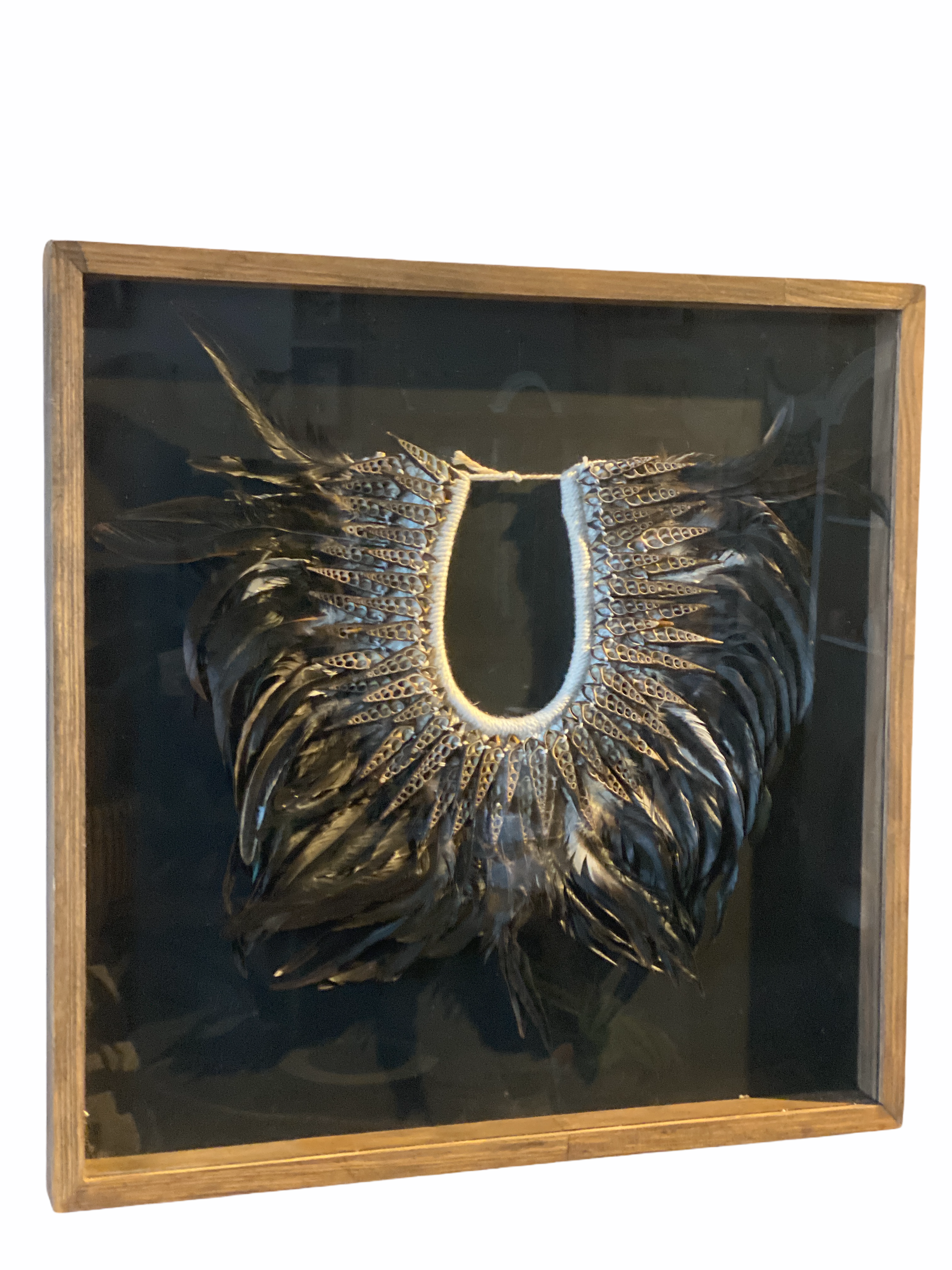 Handmade framed Feather & Shell necklace