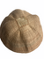 Tonga Basket Pot - 31cm