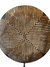 Cameroon Shield -L - 57cm