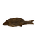 Driftwood Hand Carved Fish - (13.7) Large