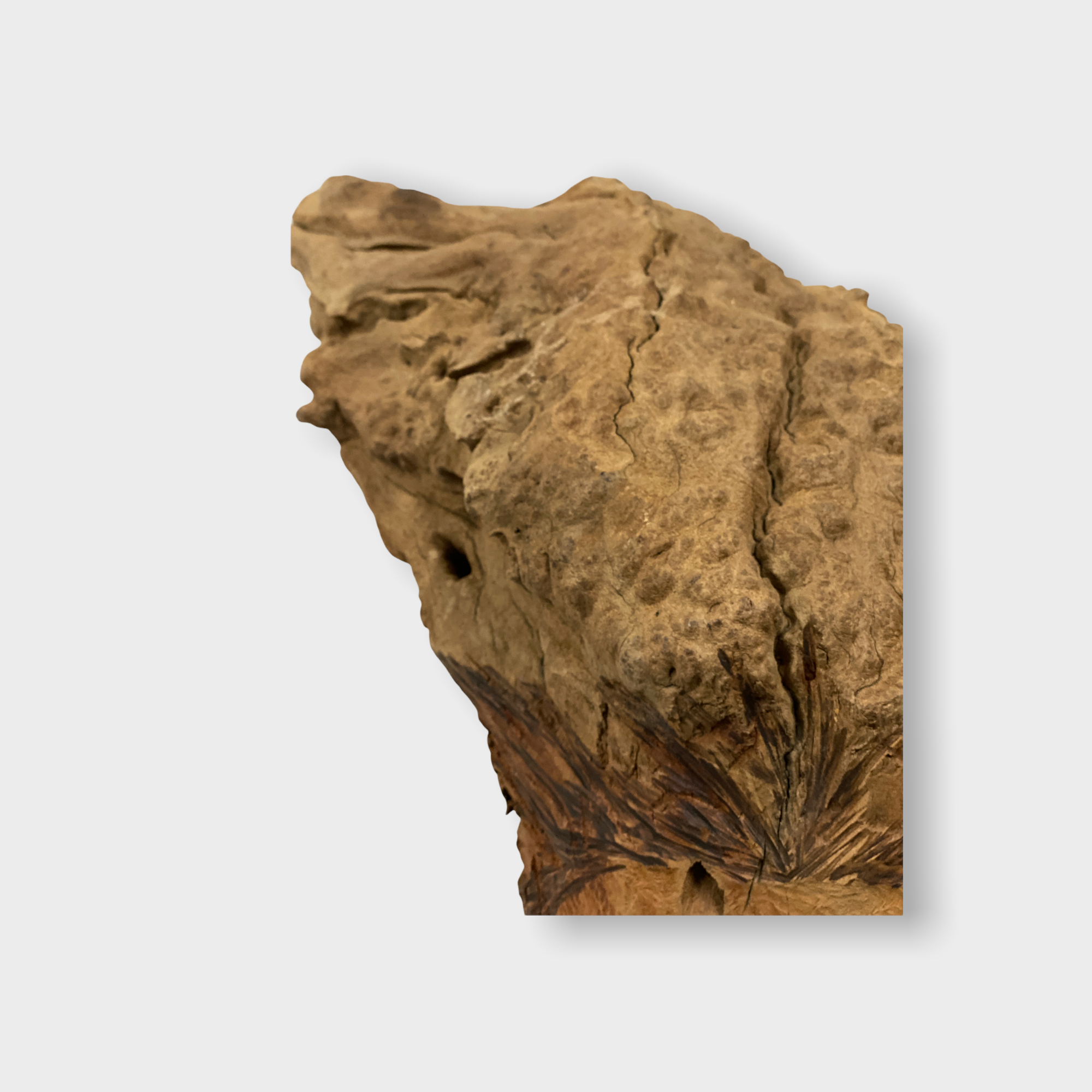 Hand Carved Head - Zimbabwe - large (152.1)