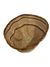 Tonga Basket Pot (6801)